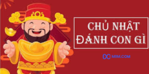 Chủ nhật đánh số mấy tại M8M?